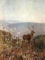 В горах Алатау 1869-70г